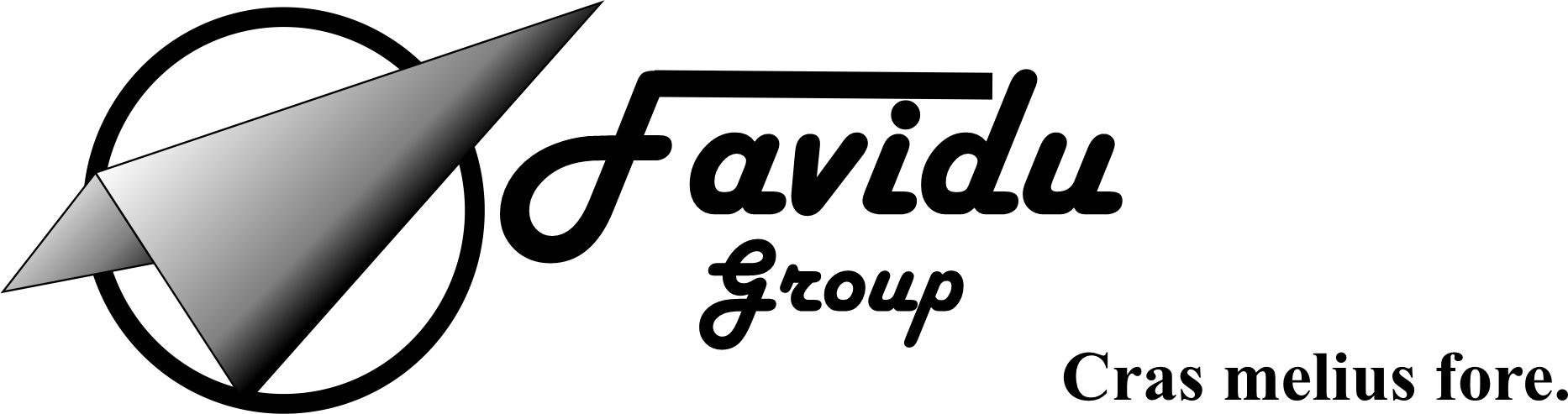 FaviduGroup